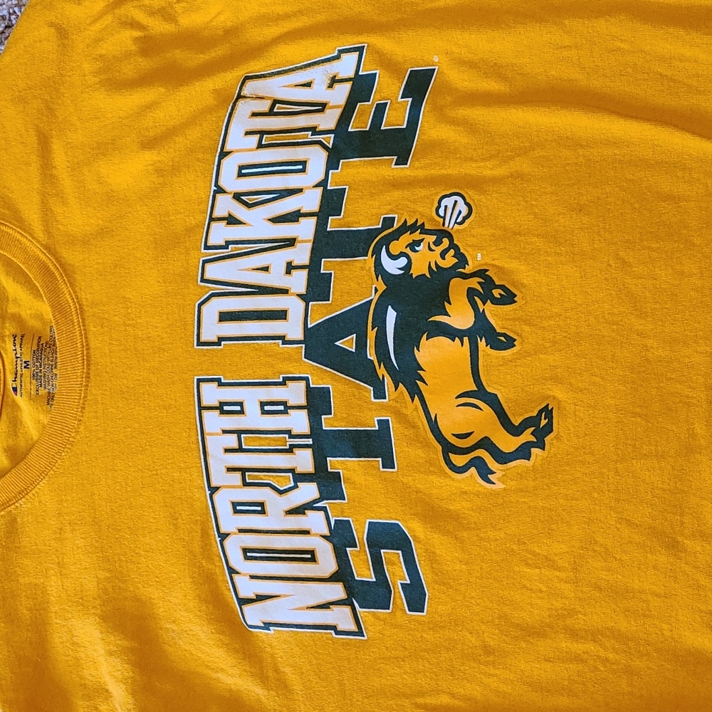 NDSU Champion - Picture 3 of 4